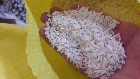 بررسی عطر و بوی برنج محلی