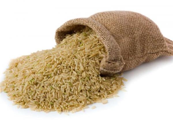 تولید کننده برنج ایرانی اصل