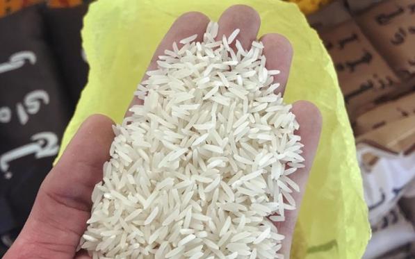عمده فروشی برنج طارم هاشمی درجه یک شمال