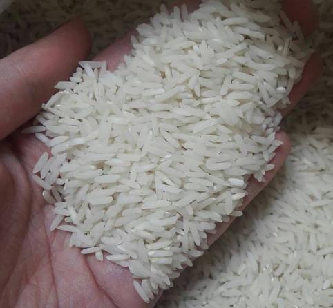 تولیدی برنج طارم معطر
