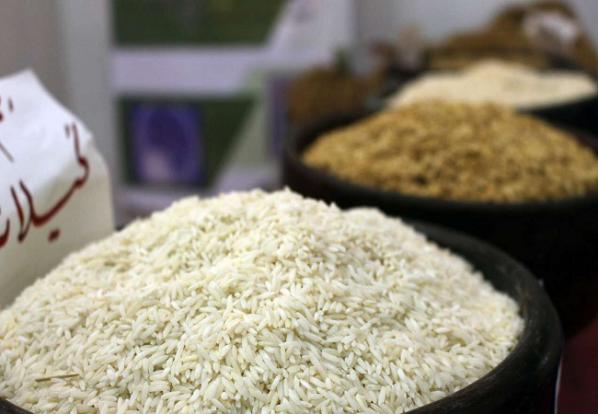 توزیع کلی برنج طارم دانه بلند