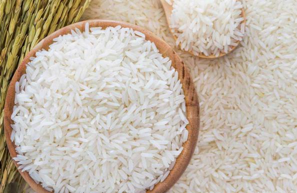 خرید انبوه برنج طارم دانه بلند
