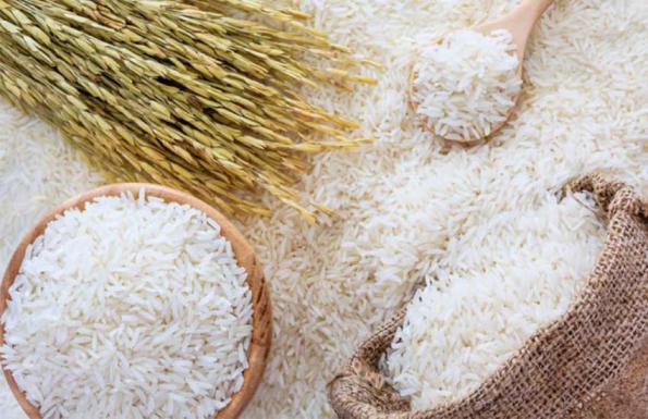بررسی ارزش غذایی برنج طارم هاشمی فریدونکنار
