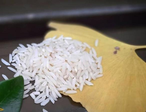 عرضه کننده برنج هاشمی ارزان