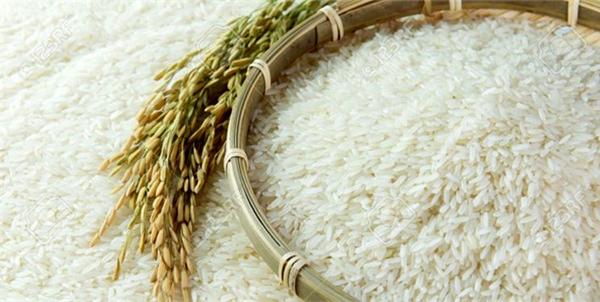 پخش کننده بهترین برنج طارم دانه بلند