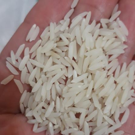 صادرات برنج هاشمی دانه بلند
