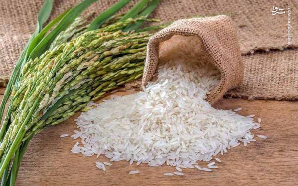 پخش کننده عمده برنج هاشمی اصل