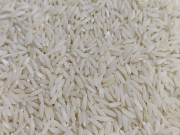 اصلاح نژاد در کاشت برنج طارم دانه بلند