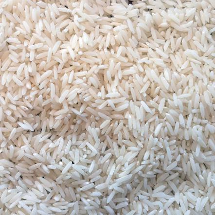 مرکز عرضه برنج هاشمی معطر