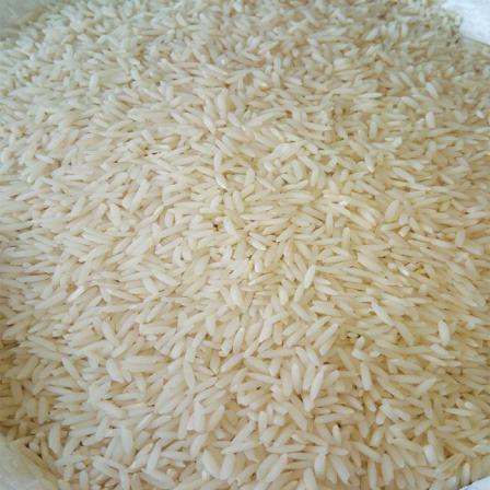 پخش کننده برنج هاشمی دانه بلند