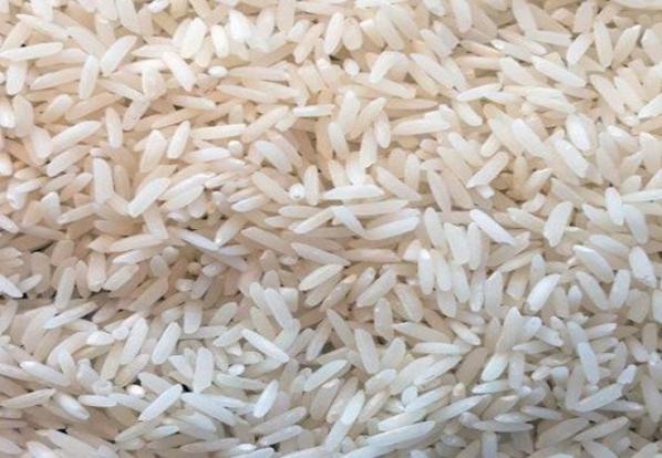 علل محبوبیت برنج طارم شمال