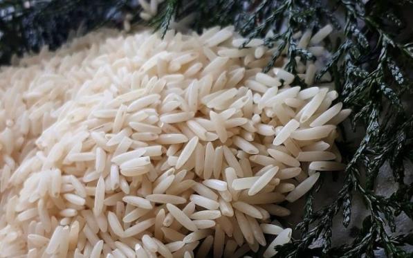 نکات مهم برای تولید برنج طارم اعلا