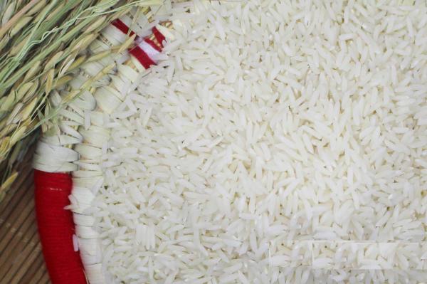 آشنایی با انواع برنج طارم هاشمی اصل