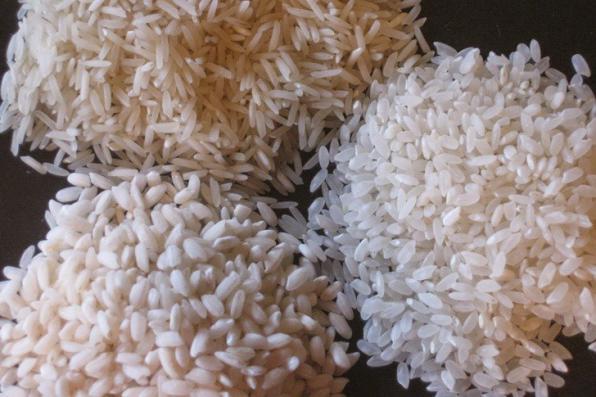 تولید عمده برنج  اصل ایرانی