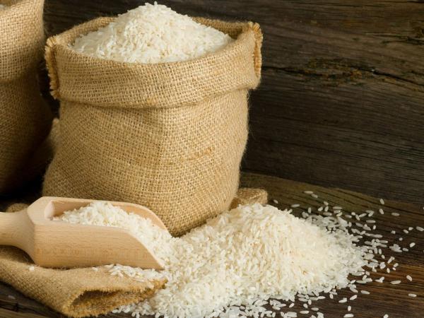 توزیع مستقیم برنج طارم معطر