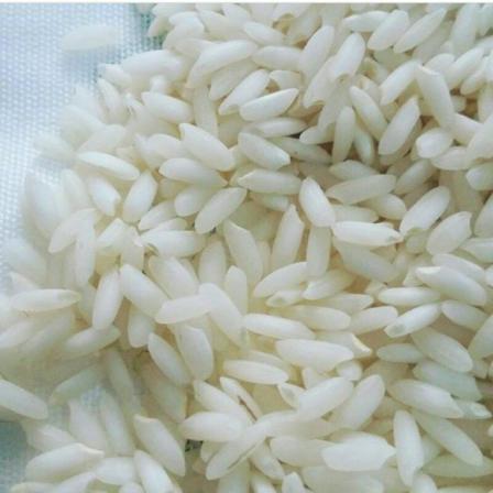 تولیدی برنج طارم هاشمی فریدونکنار