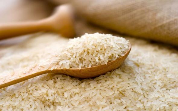 تولید کننده برنج طارم هاشمی عطری