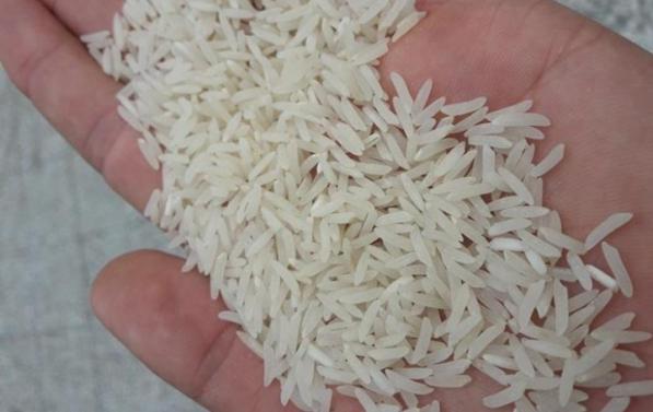 تولیدی برنج طارم خوشپخت