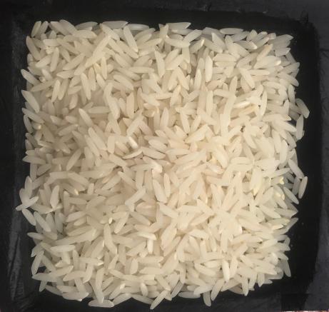 تولید کننده برنج طارم هاشمی عطری