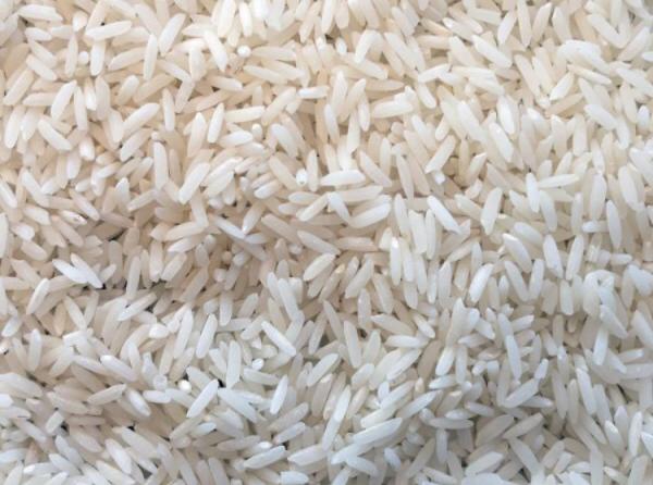 پخش کننده برنج هاشمی اصل