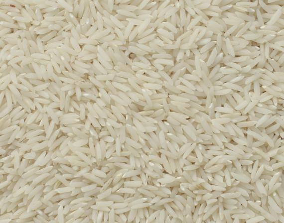 خرید مستقیم برنج هاشمی اصل