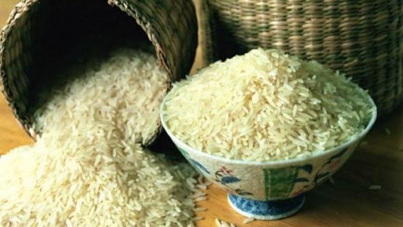 کارخانه تولید برنج طارم هاشمی اعلا کیلویی
