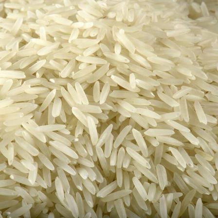 قیمت تولید برنج هاشمی صادراتی