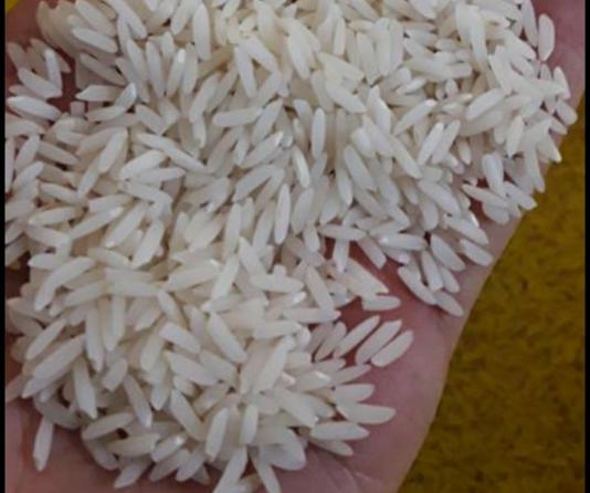 آشنایی با انواع برنج هاشمی