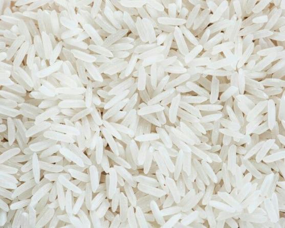 قیمت تولید برنج هاشمی در عرضه مستقیم آن به بازار