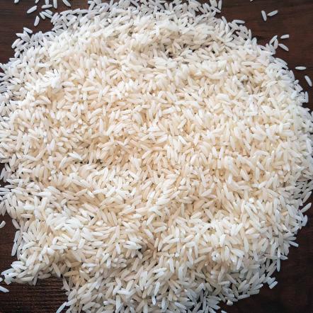 پخش کننده برنج طارم هاشمی فریدونکنار