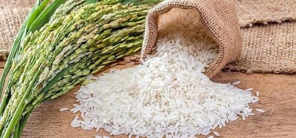 مرجع پخش برنج طارم اعلا