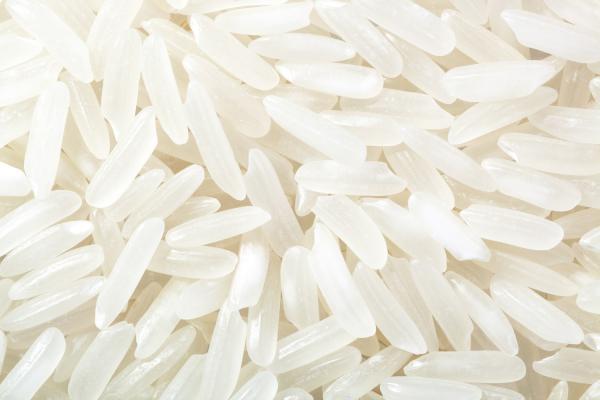تولید برنج هاشمی سفید