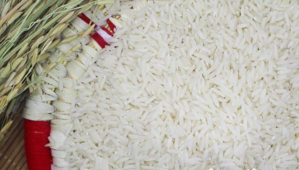 صادرات عمده فروشی برنج 