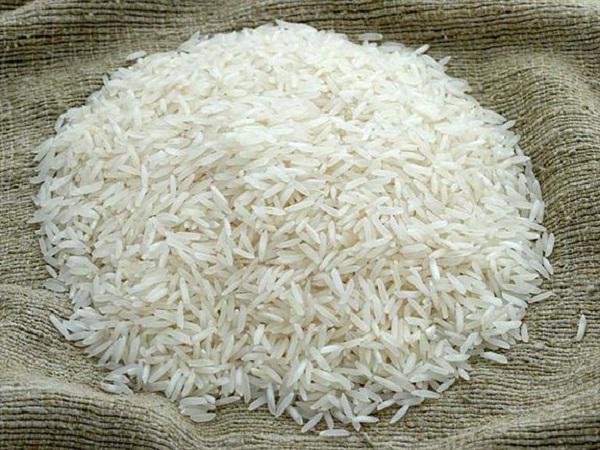 فروشنده برنج هاشمی کشت اول