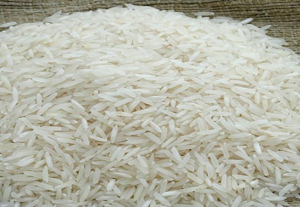 فروش عمده برنج طارم هاشمی ممتاز