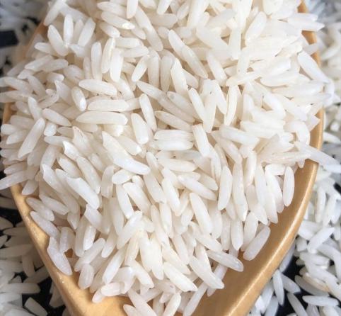 ارائه دهنده برنج هاشمی کشت اول