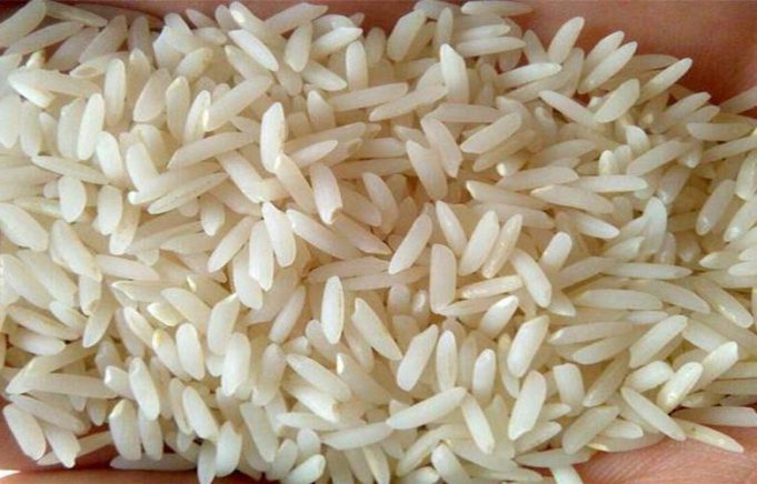 آن چه باید برای کاشت برنج محلی بدانید