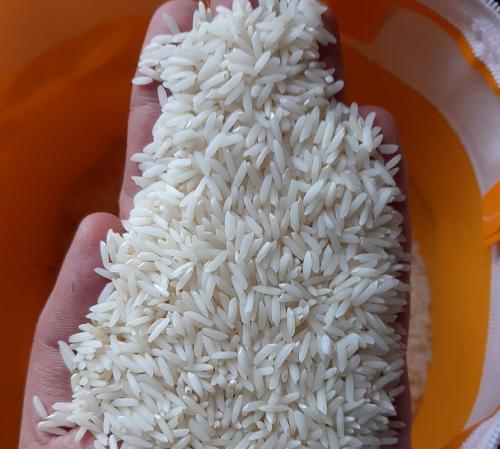 بازار فروش برنج هاشمی معطر