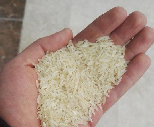 مرجع خرید برنج طارم دانه بلند