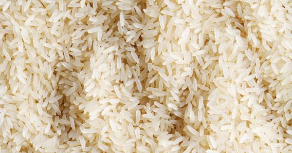فروش کلی برنج هاشمی کشت اول