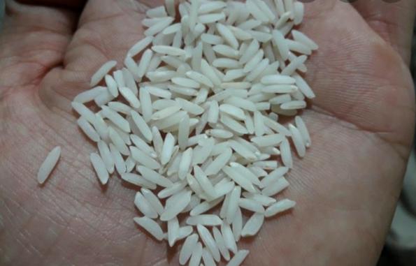 توزیع کننده عمده برنج طارم هاشمی استخوانی
