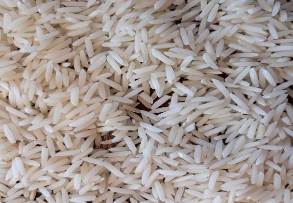 توزیع برنج طارم هاشمی درجه 1