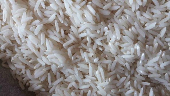 صادرات برنج طارم خالص
