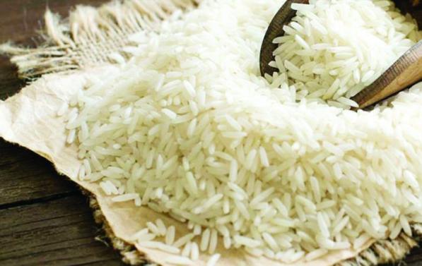 صادرات عمده برنج سرلاشه طارم هاشمی