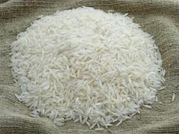 مرکز تولید برنج طارم هاشمی محلی