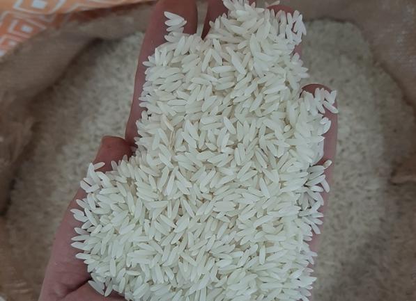 پخش انبوه برنج طارم محلی
