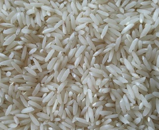 عرضه مستقیم برنج طارم خالص