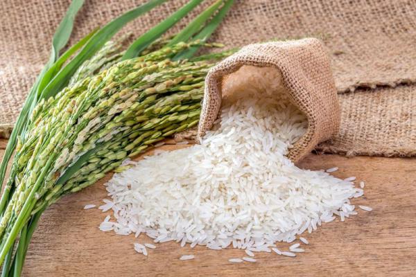 ارزش برنج ایرانی از دیدگاه طب سنتی