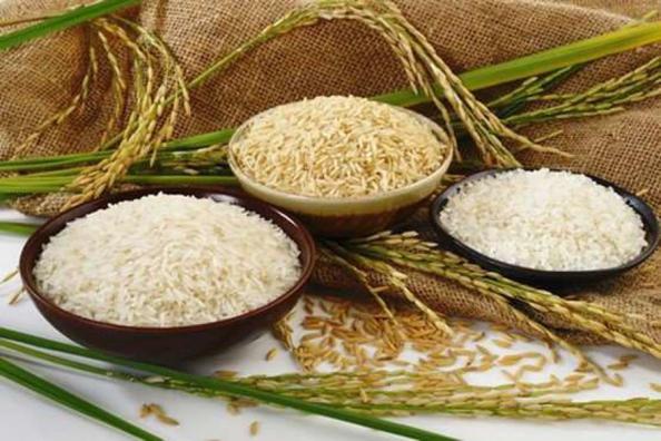 خرید برنج ایرانی اصل