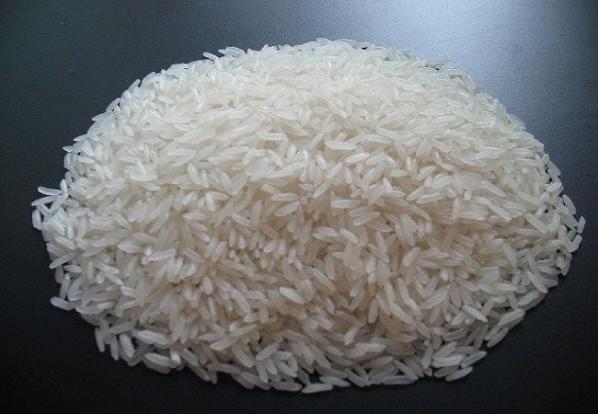 مراحل کاشت تا برداشت برنج هاشمی استخوانی